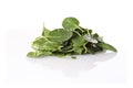 Fresh spinach leaves on the reflective surface