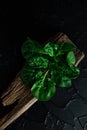 Fresh spinach leaves with water drops on black background. View from above Royalty Free Stock Photo