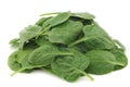 Fresh spinach leaves Royalty Free Stock Photo
