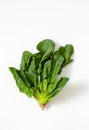 Fresh spinach leaves on a white background