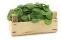 Fresh spinach leaves in a wooden box Royalty Free Stock Photo