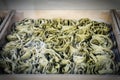 fresh spinach noodles