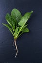 Fresh spinach with roots on the black slate board, top view