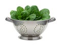 Fresh Spinach in a Stainless Steel Colander