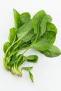 Fresh Spinach