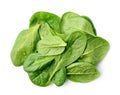 Fresh spinach with water drops Royalty Free Stock Photo