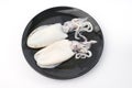 Fresh splendid squid Royalty Free Stock Photo
