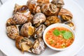 Fresh Spotted babylon Sea shell limpet ocean gourmet seafood in the restaurant, Babylonia areolata shellfish seafood on white