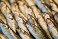 Fresh Sprat Fish On Display On Ice On Market Store Shop. Seafood Royalty Free Stock Photo