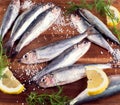 Fresh sprat fish Royalty Free Stock Photo