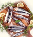 Fresh sprat fish Royalty Free Stock Photo