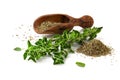 Fresh sprig of oregano and dry oregano spice on white background Royalty Free Stock Photo