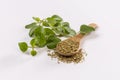 Fresh sprig of oregano and dry oregano spice isolated on white background Royalty Free Stock Photo