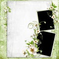 Fresh spring apple tree flowers frame