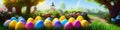 Fresh spring background with easter eggs banner green juicy meadow. Colored Easter eggs hidden flowers grass.Easter