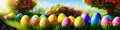 Fresh spring background with easter eggs banner green juicy meadow. Colored Easter eggs hidden flowers grass.Easter Royalty Free Stock Photo