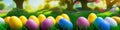 Fresh spring background with easter eggs banner green juicy meadow. Colored Easter eggs hidden flowers grass.Easter Royalty Free Stock Photo