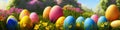 Fresh spring background with easter eggs banner green juicy meadow. Colored Easter eggs hidden flowers grass.Easter Royalty Free Stock Photo