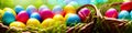 Fresh spring background with easter eggs banner green juicy meadow. Colored Easter eggs hidden flowers grass.Easter Royalty Free Stock Photo