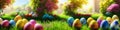 Fresh spring background with easter eggs banner green juicy meadow. Colored Easter eggs hidden flowers grass.Easter
