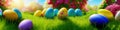 Fresh spring background with easter eggs banner green juicy meadow. Colored Easter eggs hidden flowers grass.Easter Royalty Free Stock Photo