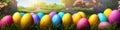 Fresh spring background with easter eggs banner green juicy meadow. Colored Easter eggs hidden Royalty Free Stock Photo