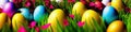 Fresh spring background with easter eggs banner green juicy meadow. Colored Easter eggs hidden