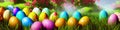 Fresh spring background with easter eggs banner green juicy meadow. Colored Easter eggs hidden