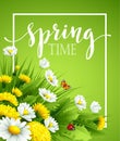 Fresh spring background with grass, dandelions and Royalty Free Stock Photo