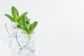 Fresh spring background - green mint twigs closeup in bottles on white soft wood board, copy space. Royalty Free Stock Photo