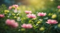 Fresh Spring bokeh background Royalty Free Stock Photo
