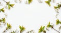 Fresh spring cherry blossom branches and delicate white flowers arrangement on a pure white background with copy space Royalty Free Stock Photo