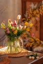 Fresh spring colorful bouquet of tulips in a vase Royalty Free Stock Photo