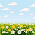 Fresh spring, daisies and dandelions, grass