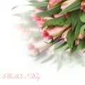 Fresh spring flowers as a holiday postcard design with copy space