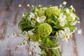 Fresh spring flowers close-up Royalty Free Stock Photo