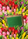 Fresh spring flowers. tulips and blackboard Royalty Free Stock Photo