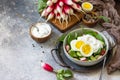 Fresh spring food, healthy vegan lunch bowl. Spinach, cucumber, radish salad and boiled eggs with sour cream. Copy space. Royalty Free Stock Photo