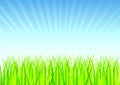 Fresh Spring Grass Vector Royalty Free Stock Photo