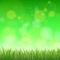 Fresh spring green background with bokeh, Royalty Free Stock Photo