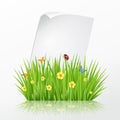 Fresh spring green grass frame template with curling blank sheet paper Royalty Free Stock Photo