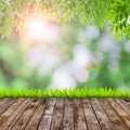 Fresh spring green grass with green bokeh and flare and wood flo Royalty Free Stock Photo