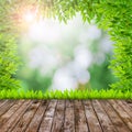 Fresh spring green grass with green bokeh and flare and wood flo