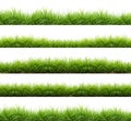 Fresh spring green grass isolated