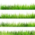 Fresh spring green grass Isolated On White. EPS 10 Royalty Free Stock Photo