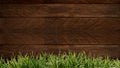 Fresh spring green grass and leaf plant over wood fence background. Wood background Grass frame Royalty Free Stock Photo