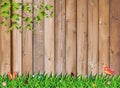 Fresh spring green grass with leaf plant over wood fence