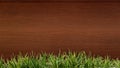 Fresh spring green grass and leaf plant over wood fence background. Wood background Grass frame Royalty Free Stock Photo