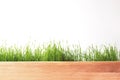 Fresh spring green grass panorama isolated on white background. Royalty Free Stock Photo