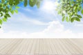 Fresh spring green leaves bule sky with wood floor Royalty Free Stock Photo